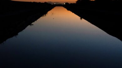 U.S. Raises Threat of Steep Water Cuts in Lower Colorado River Basin