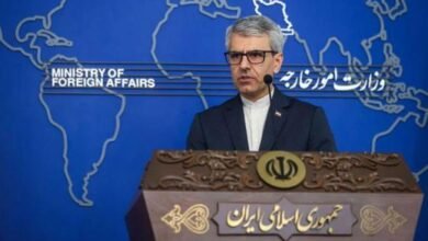 یوکرین کا ایرانی جہاز کو نشانہ بنانا خطرناک اقدام، جواب ضرور دینگے: اسماعیل بقائی