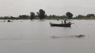رحیم یارخان: دریائے سندھ میں نچلے درجے کا سیلاب، علاقہ مکینوں کی نقل مکانی جاری