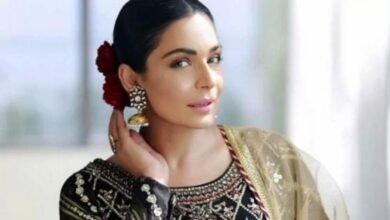 سرکاری فلموں کیلئے 50 لاکھ روپے معاوضہ لیتی ہوں: میرا کا انکشاف