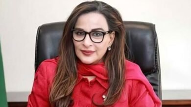 نکیال میں فائرنگ سے پی پی کارکن کی شہادت انتہائی افسوسناک ہے، شیری رحمان