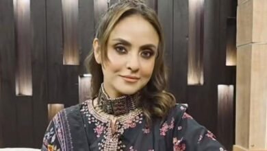 نادیہ خان نے طلاق کی خبروں پر خاموشی توڑ دی