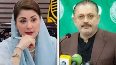 آپ فارم 47 کی بنیاد پر حکومت پر قابض ہیں، چیلنج ہے پنجاب میں دوبارہ الیکشن لڑ کر دکھا دیں: شرجیل میمن