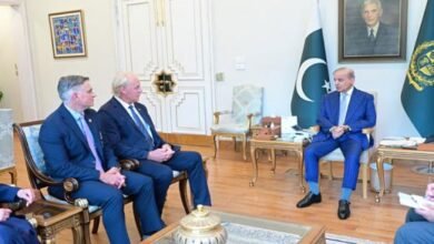 وزیراعظم شہباز شریف سے امریکی کانگریس کے وفد کی ملاقات