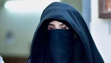 بشریٰ بی بی نے سزا معطلی کیلئے آئینی عدالت میں اپیل دائر کردی