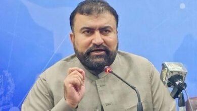 جو ملک تقسیم کرنا چاہتے ہیں وہ احمق ہیں: سرفراز بگٹی