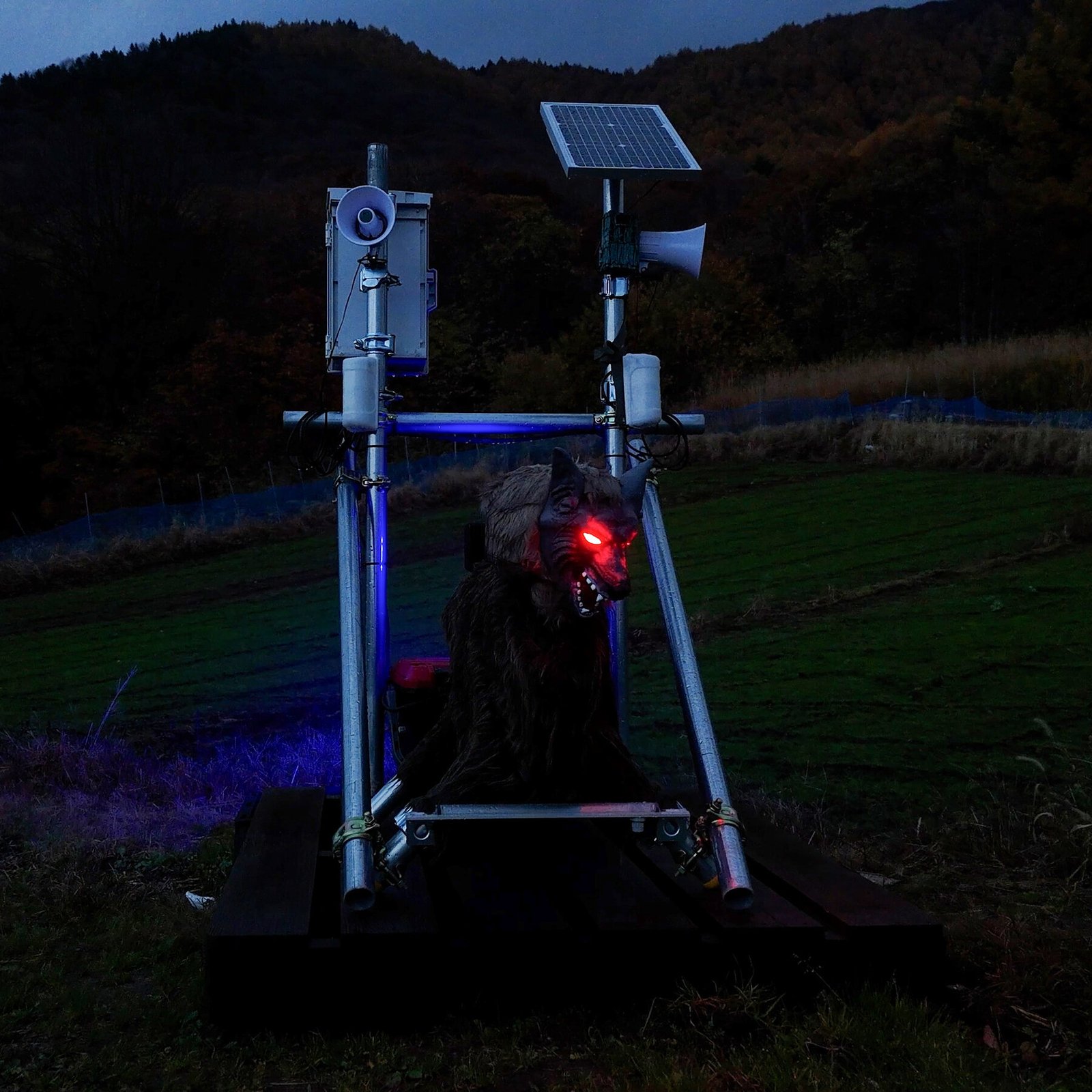 Can Robots Save Japan’s Aging Cherry Blossom Farmers? Can Robots Save Japan’s Aging Cherry Blossom Farmers?