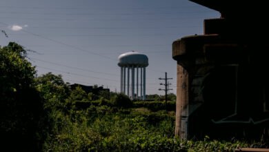 Scope of Hacks on U.S. Water Supply Widens as Evidence Points to Iran