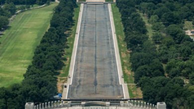 Timeline of Trump’s Lincoln Memorial Reflecting Pool Renovation Saga Timeline of Trump’s Lincoln Memorial Reflecting Pool Renovation Saga