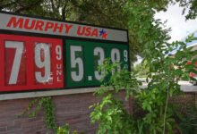 Oil Prices Plummet as Investors Digest Pause in Fighting in Iran War