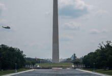 Prosecutor in D.C. Moves to Dismiss More Reflecting Pool Cases