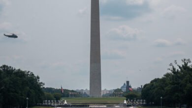 Prosecutor in D.C. Moves to Dismiss More Reflecting Pool Cases