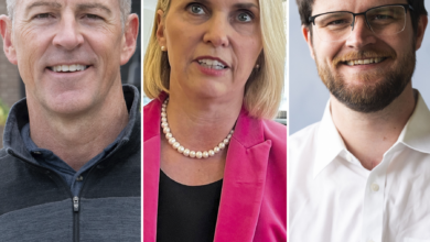 In Michigan’s 7th District’s Democratic Primary, a Centrist Split Boosts Progressive Hopes
