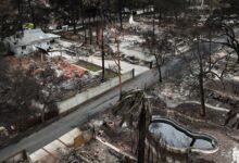 Officials Say They’ve Found the Cause of a Fire That Devastated L.A.