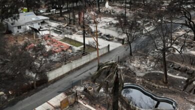 Officials Say They’ve Found the Cause of a Fire That Devastated L.A.
