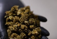 Trump Seeks a Boost for Hemp That Would Benefit a Top Aide’s Family