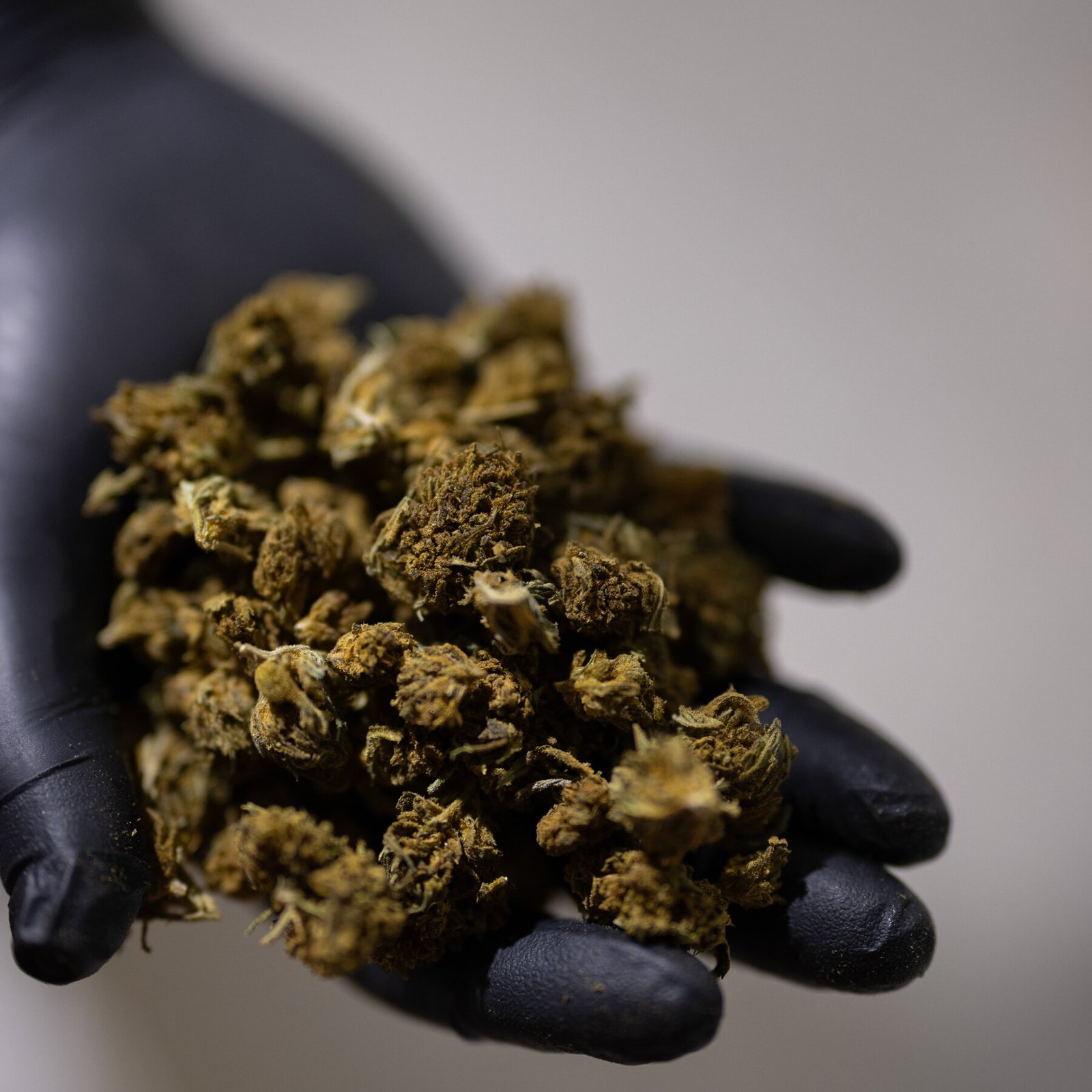 Trump Seeks a Boost for Hemp That Would Benefit a Top Aide’s Family Trump Seeks a Boost for Hemp That Would Benefit a Top Aide’s Family