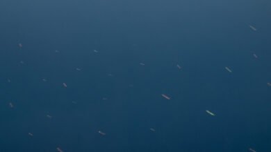 Iran Says It Is Nearing Final Agreement With Oman on Strait of Hormuz