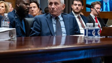 Senate Panel Votes to Hold Fauci in Contempt of Congress