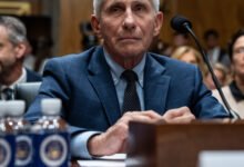 Senate Panel Votes to Hold Fauci in Contempt