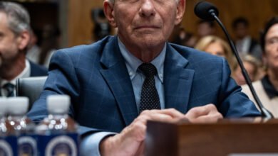 Senate Panel Votes to Hold Fauci in Contempt