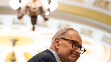 Schumer Forges Ahead in Fight for Senate, Despite Setbacks