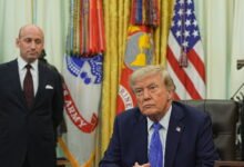 Trump Targets Birthright Citizenship Again, and Activists Describe Abuse in Israeli Custody