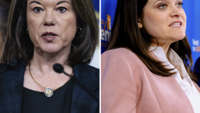 They’re Battle-Tested Democrats. Do Voters Care?