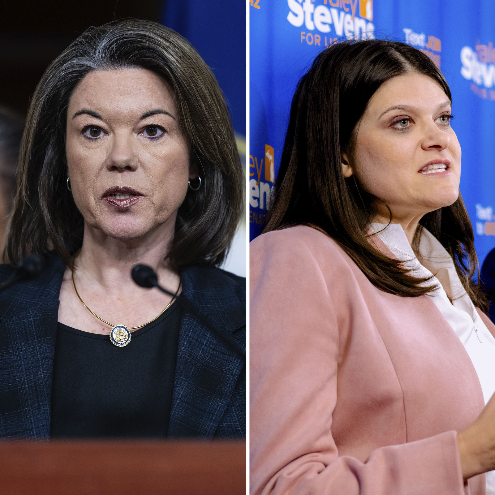 They’re Battle-Tested Democrats. Do Voters Care?