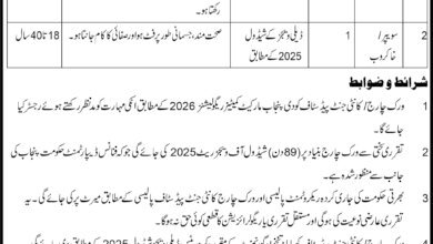 Khakrob Jobs in Qila Didar Singh 2026 – Latest Vacancy & Apply