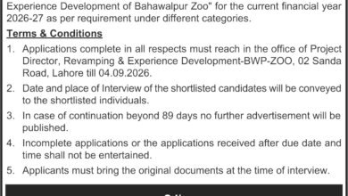 Temporary Labor Jobs in Lahore 2026 – Latest Vacancy & Apply