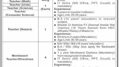 Female Principal Jobs in Karachi 2026 – Latest Vacancy & Apply