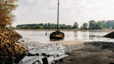 Drought Threatens a Vital Economic Artery in the Heart of Europe