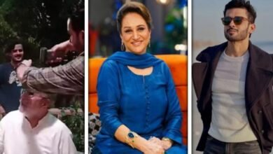 فہد شیخ کی معذرت پر انہیں معاف کر دینا چاہیے، انکے مستقبل کو داؤ پر نہیں لگانا چاہیے: بشریٰ انصاری