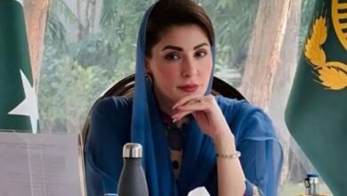 امریکی سرمایہ کار پنجاب میں آج ہی سرمایہ کاری شروع کریں، کل کا انتظار نہ کریں: مریم نواز