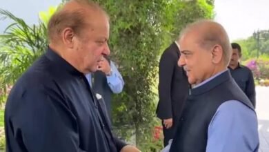 وزیراعظم کی ن لیگ کے صدر نواز شریف سے لاہور میں ملاقات وزیراعظم کی ن لیگ کے صدر نواز شریف سے لاہور میں ملاقات