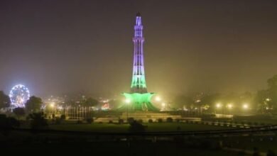 مینار پاکستان پر جلسہ، پی ٹی آئی کی درخواست پر رجسٹرار آفس کے اعتراضات ختم کر دیے گئے مینار پاکستان پر جلسہ، پی ٹی آئی کی درخواست پر رجسٹرار آفس کے اعتراضات ختم کر دیے گئے