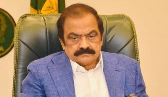 ن لیگ آزاد کشمیر میں اتحادی نہیں، اپنی حکومت بنائے گی: رانا ثناء اللّٰہ ن لیگ آزاد کشمیر میں اتحادی نہیں، اپنی حکومت بنائے گی: رانا ثناء اللّٰہ