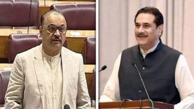 ن لیگ اور پی ٹی آئی نئے صوبے بنانے پر متفق ن لیگ اور پی ٹی آئی نئے صوبے بنانے پر متفق