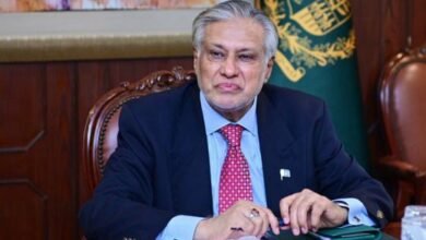 وزیر خارجہ اسحاق ڈار ایک روزہ دورے پر اردن روانہ