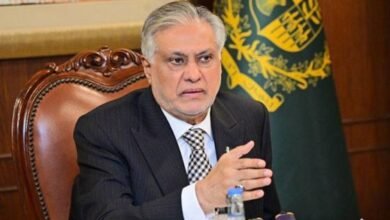 نائب وزیرِ اعظم اسحاق ڈار اردن پہنچ گئے