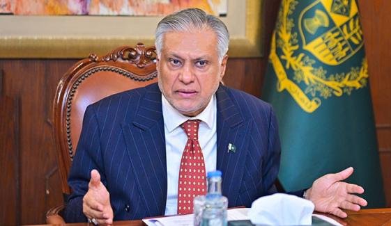 فلسطین کی آزادی کیلئے عرب و مسلم ملکوں کو مل کر کام کرنا ہوگا، اسحاق ڈار فلسطین کی آزادی کیلئے عرب و مسلم ملکوں کو مل کر کام کرنا ہوگا، اسحاق ڈار