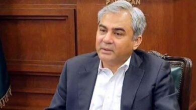 وزیراعظم کو مشورہ دوں گا وفاقی کابینہ کے تمام وزراء کی کارکردگی کا جائزہ لیں، محسن نقوی