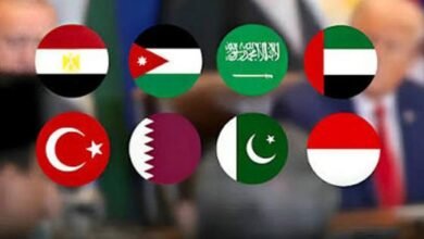 پاکستان سمیت 8 اسلامی ممالک کی غزہ میں اسپتالوں و طبی مراکز پر اسرائیلی حملوں کی مذمت
