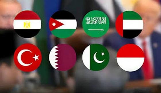 پاکستان سمیت 8 اسلامی ممالک کی غزہ میں اسپتالوں و طبی مراکز پر اسرائیلی حملوں کی مذمت پاکستان سمیت 8 اسلامی ممالک کی غزہ میں اسپتالوں و طبی مراکز پر اسرائیلی حملوں کی مذمت