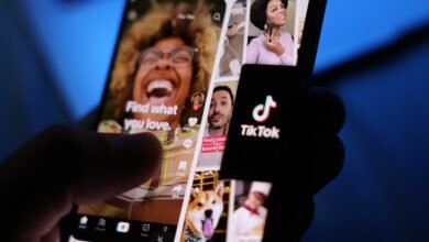 TikTok quickly pauses dating live chat test