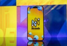 NYT Strands hints, answers for August 6, 2026