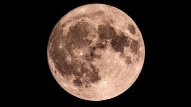 Moon phase today: What the Moon will look like on August 7