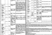 Executive Assistant Jobs in Lahore 2026 – Latest Vacancy & Apply