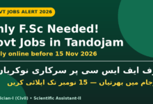 Only F.Sc Needed! Govt Jobs in Tandojam 2026 – Technician-I (Civil) and Scientific Assistant-II